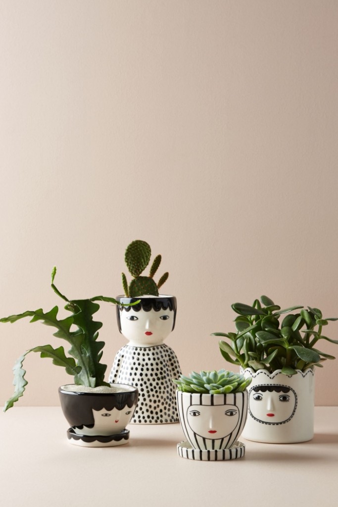 Potted plants in cute pots artistic home decor hand drawn pots