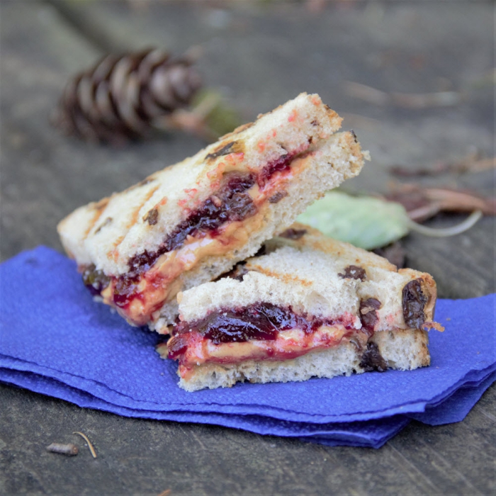 Camping food two halves of a peanut butter sandwich on a purple tissue outside