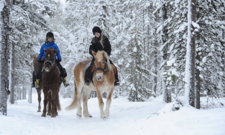 Destinations For Horse Riding In the UK