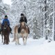 Destinations For Horse Riding In the UK