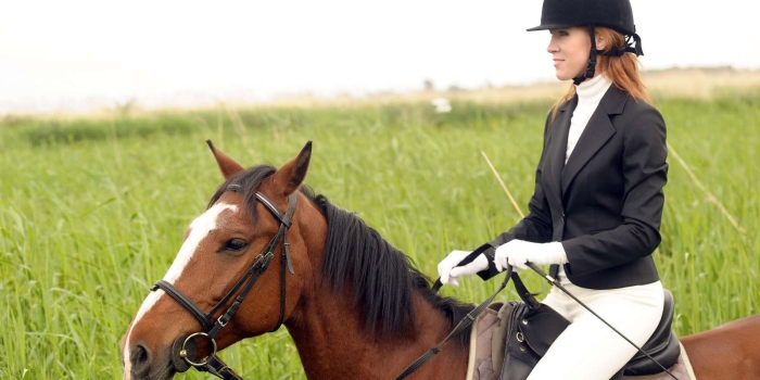 Woman outdoors riding a brown horse green grass field