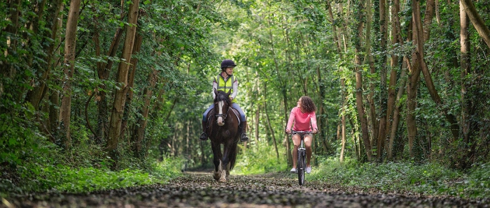 New Forest Hampshire horse riding in UK woman on horse and girl on a bycicle in a forest