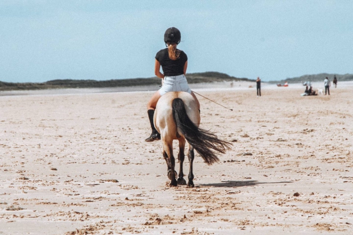 Norfolk horse riding on the beach in the UK woman back riding a horse