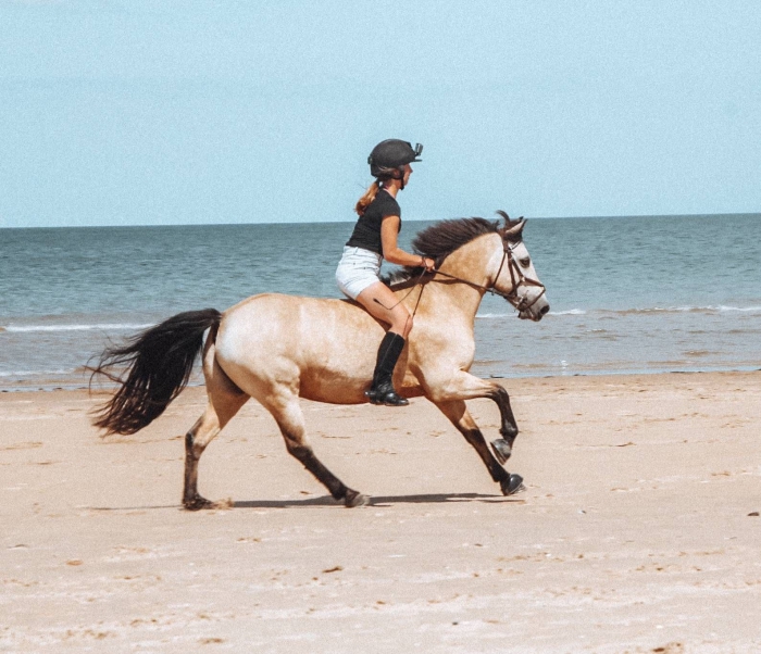 Norfolk horse riding woman on horseback light brown horse on the beach