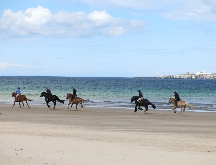 People riding horses along a beach with the sea in the background