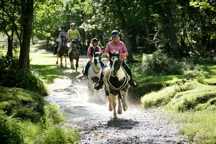 West Sussex horse riding in UK women and children riding horses in the forest