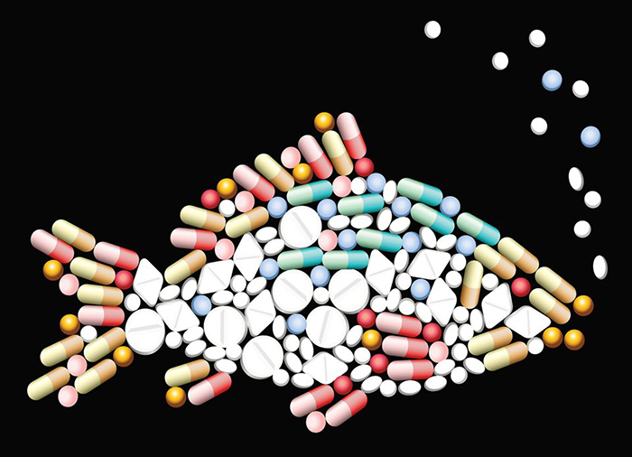 fish antibiotics for humans fish made of pills