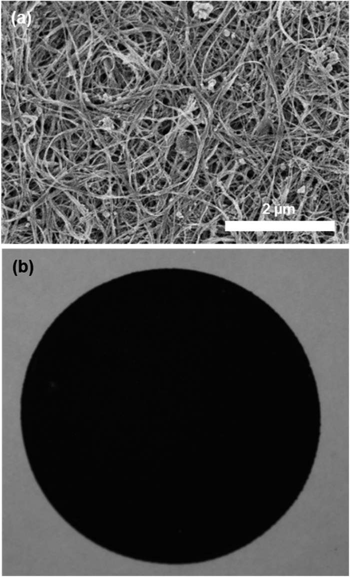 The hardest materials bucky paper structure microscope close up tubes