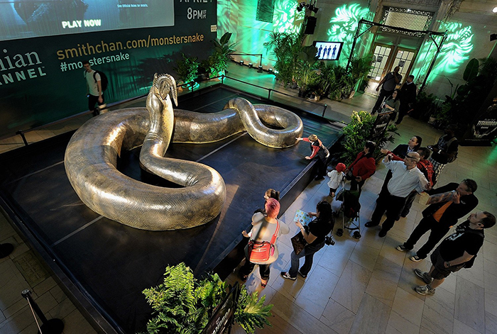 Real size Titanoboa snake in a museum crowd of people looking 