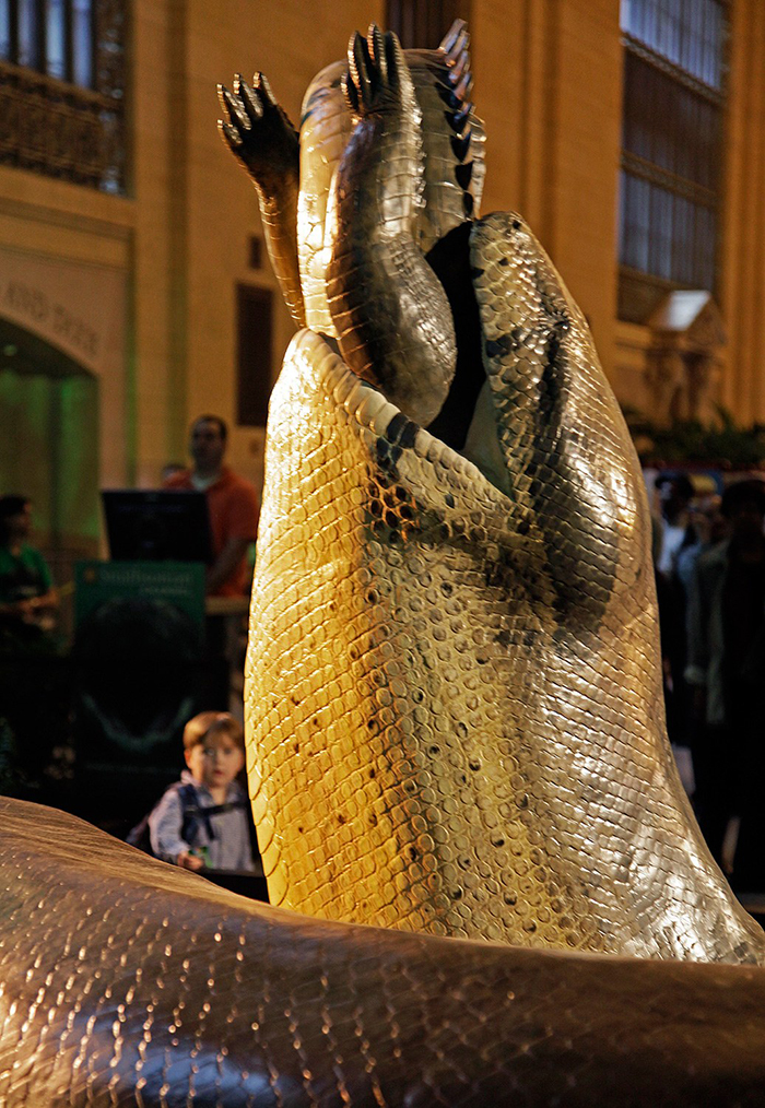 Titanoboa replica eating a crocodile museum statue