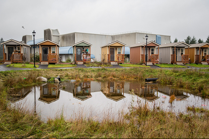 a community of tiny homes close to a small pond