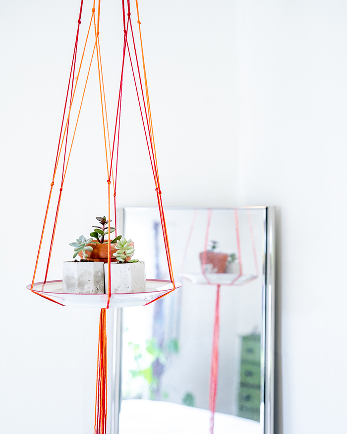 succulent arrangement in a hanging plate colorful ropes home decor succulent care