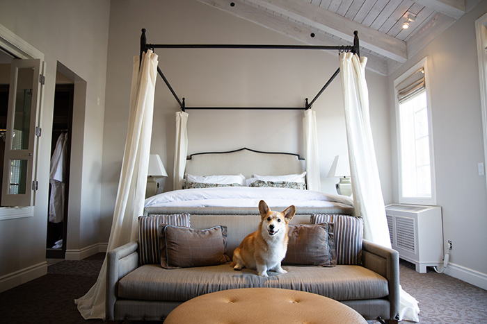 Hotel Yountville Napa bedroom interior corgi large bed