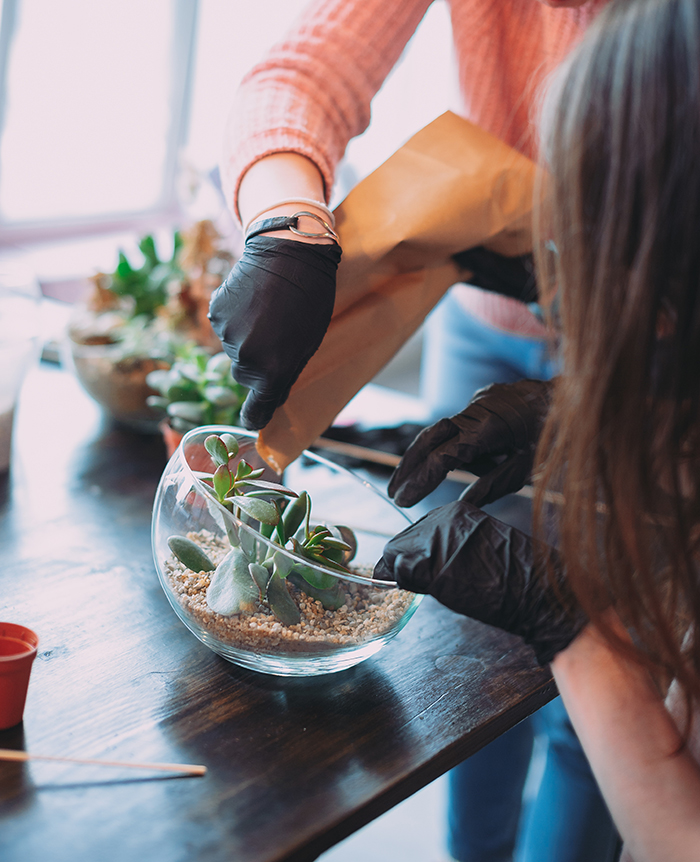 Women arranging succulents in glass bowl repotting cactus