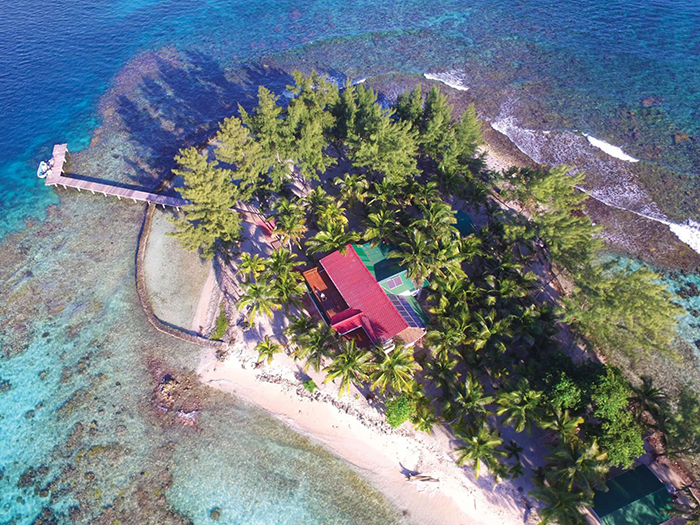 tropical island for sale in Chile palm trees blue water ocean summer villa