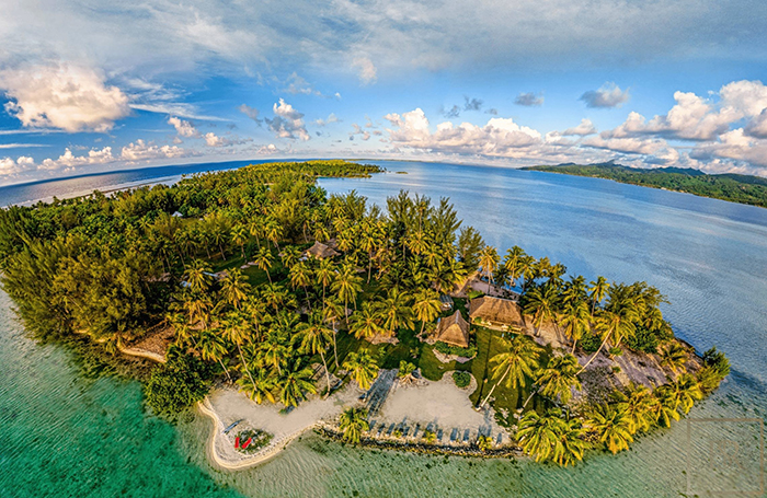 exotic island for sale palm trees clear blue water