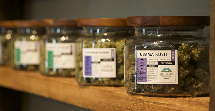 jars full of of medical marijuana "Obama Krush"  at dispensary