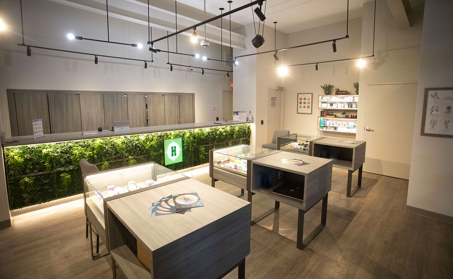 Medical marijuana dispensary with live marijuana behind glass