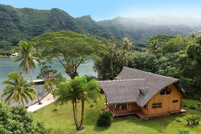 Private island for sale in French Polynesia palm trees island cottage