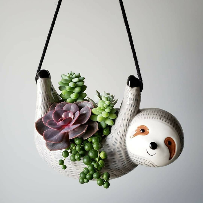 Hanging animal shaped pot indoor succulents