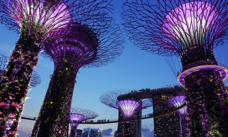 Singapore at night purple lights and big art trees