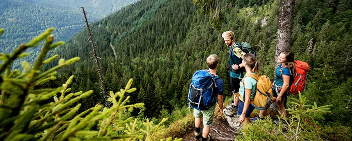 Summer vacation 2020 hiking outdoor activities friends in a forest 
