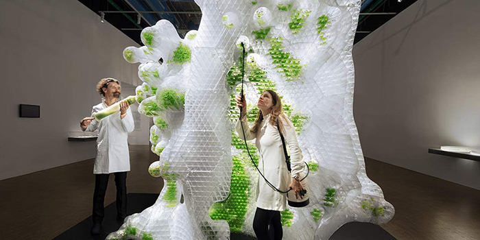 Mori art museum in japan teamlab exhibition two people with white and green art installation