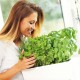 Woman-Growing-Herbs-In-Kitchen
