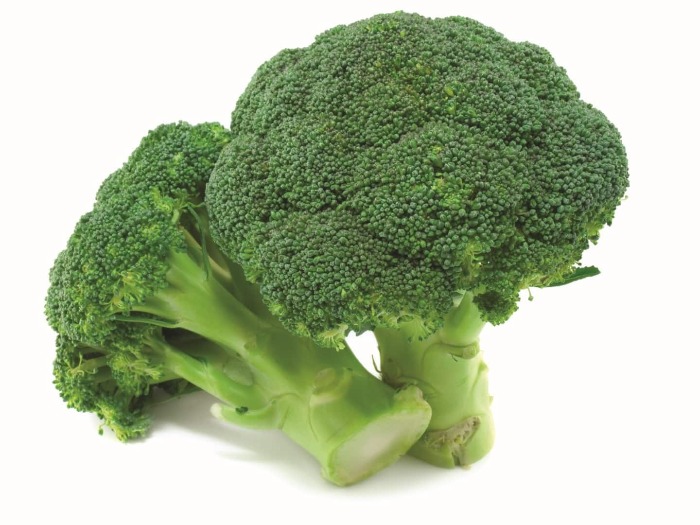 two broccoli on a white background