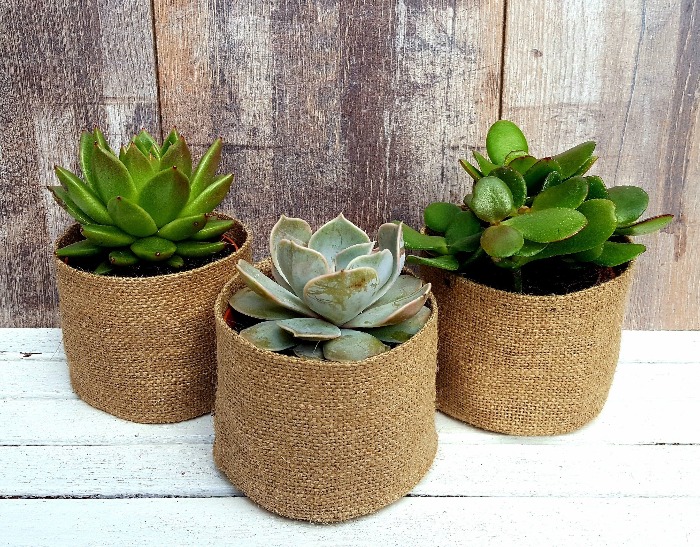 summer garden decor ideas three burlap pots with succulents