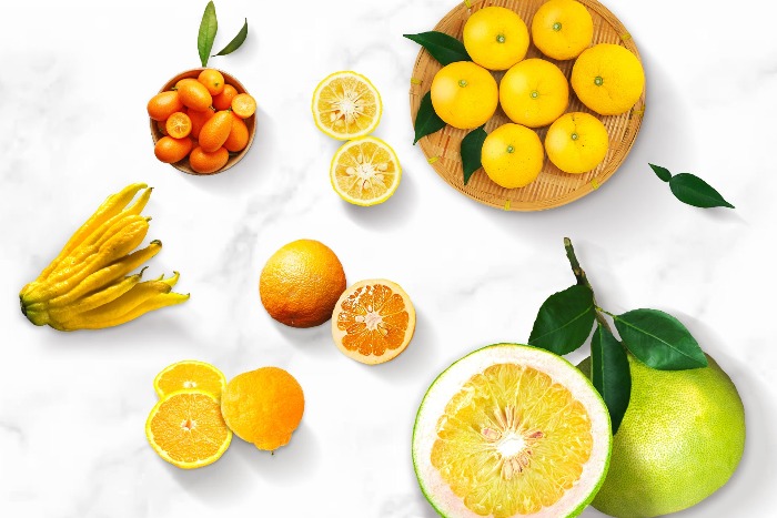 different citrus fruits on a white table lemons oranges grapefruit