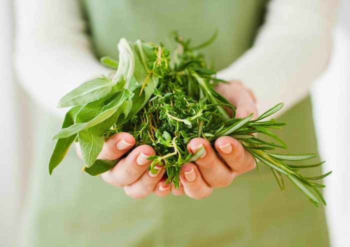 woman dressed in green holding harvested herbs in her hands