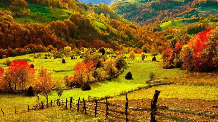 fall natural scenery seasonal colours landscape 