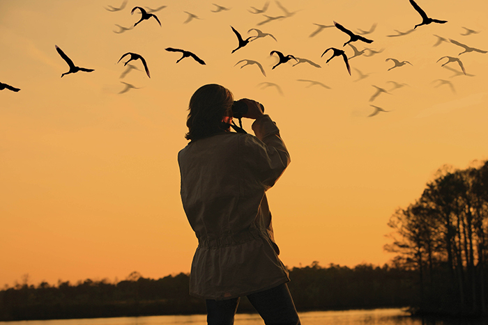 Woman dressed in a jacket watching birds at sunset over a lake