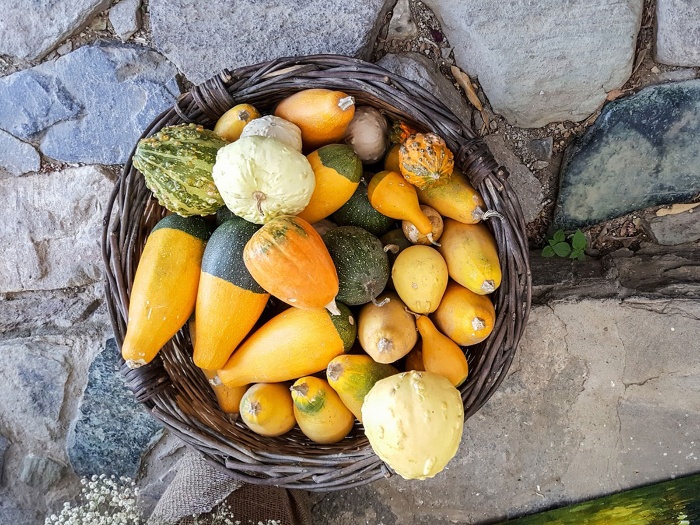 gourd harvest a basket full of yellow and green mini gourds outdoors