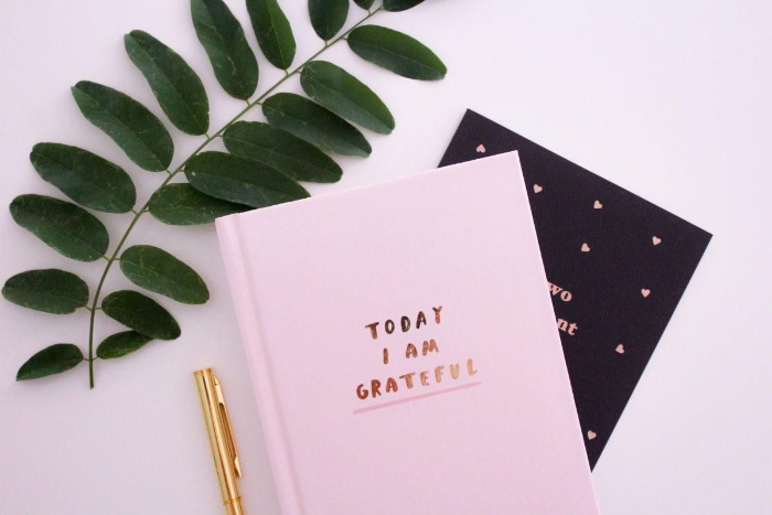 two gratitude journals on a white table with a green leaf and golden pen