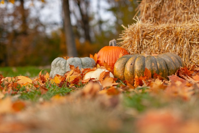 outdoor hay stacks and pumpkins in the grass fall theme