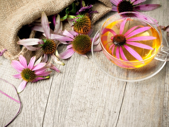 ehinacea tea in a glass cup on a wooden table ehinacea flowers