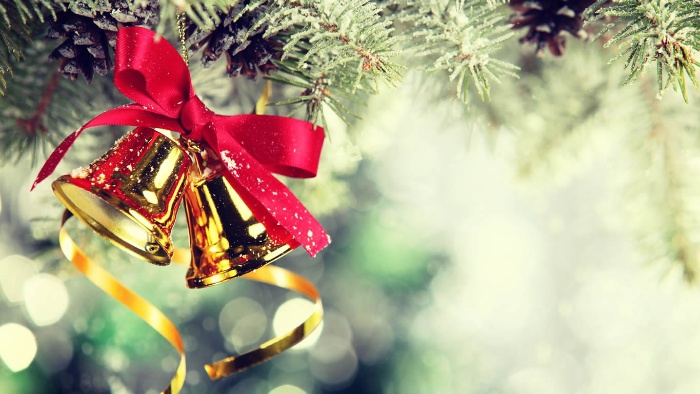 jingle bells a pair of golden christmas bells with red ribbon on a pine tree branch