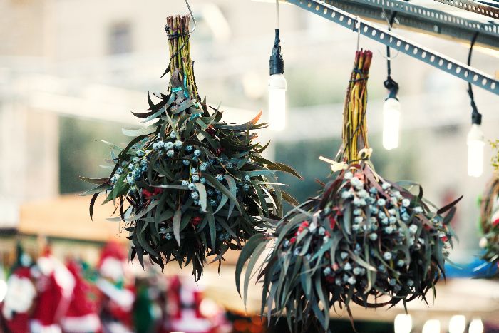 pretty mistletoe bouquets hanging outdoors