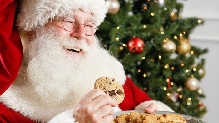 santa claus in his costume eating chocolate chip cookies with a tree in the background