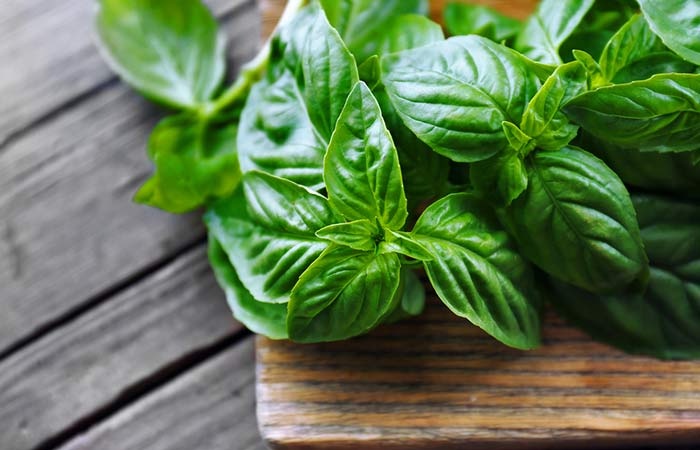 anti-ageing plants fresh basil leaves on a wooden table