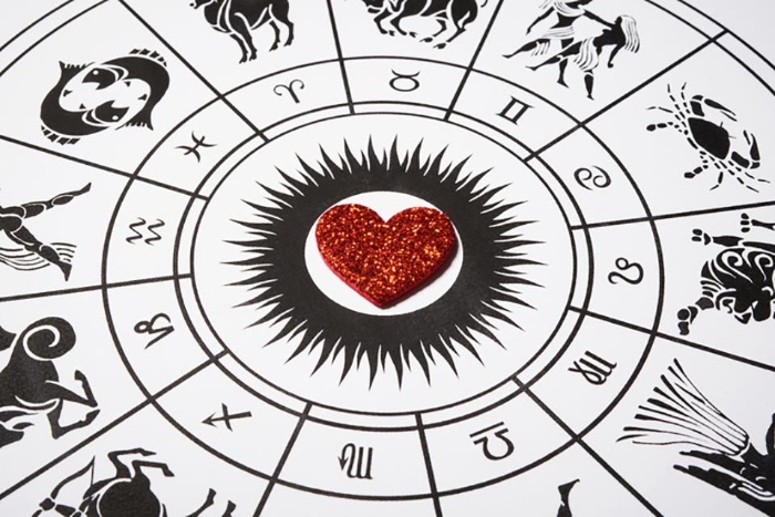 heart in the middle of a black and white scheme of the zodiac signs