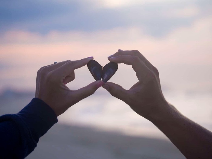 two hands holding two pieces of shell sunset and sea background