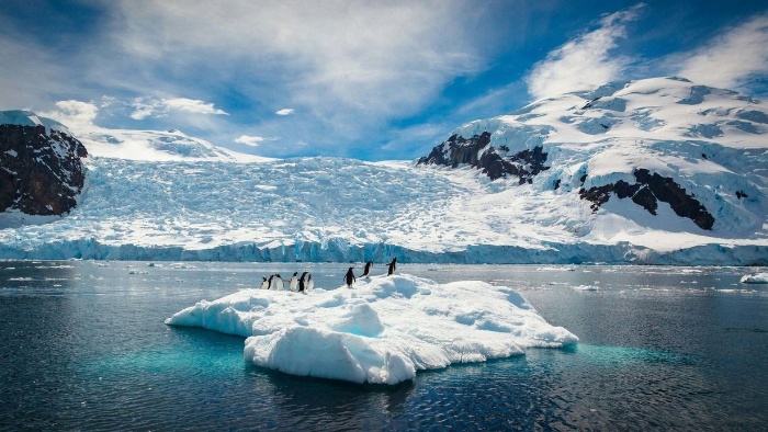 Extreme places on earth antarctic piece of ice with penguins