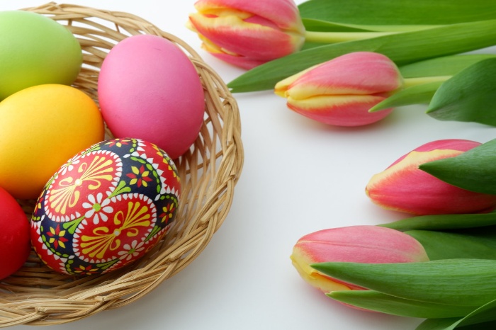 colored easter eggs in a basket with tulips around