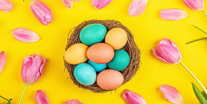 brightly colored easter eggs in a nest surrounded by pink tulips