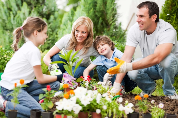 family outdoor activities family of four planting spring flowers in the garden together 