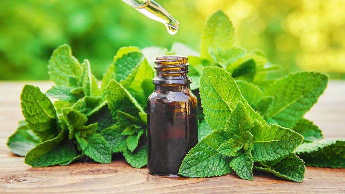 peppermint essential oil with mint branches on a table