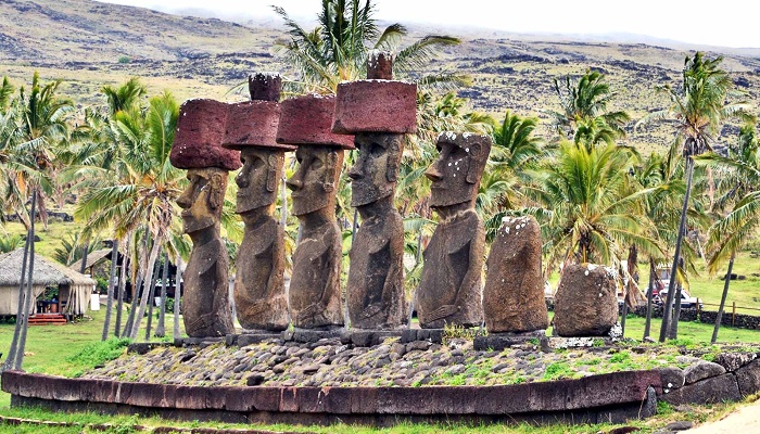 rapa nui typical stone statues on the island with palm trees around